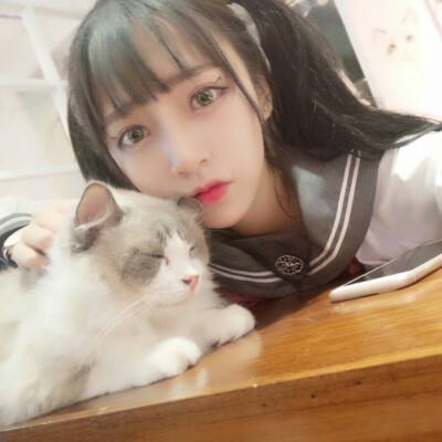 青空挖掘公司完美版下载